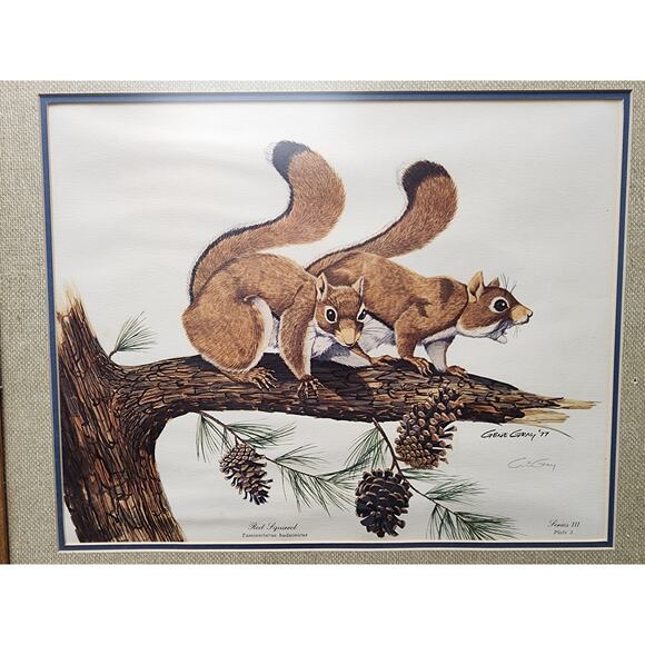 Gene Gray Red Squirrel Lithograph 1977 Series3 Plate3 Signed Framed Wildlife Art - Picture 2 of 11
